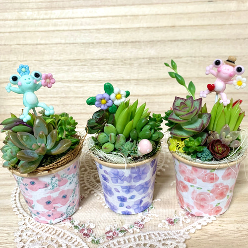 上品スタイル そのまま飾れる〜多肉植物寄せ植え(ハンドメイド)カエルピック フラワー・リース