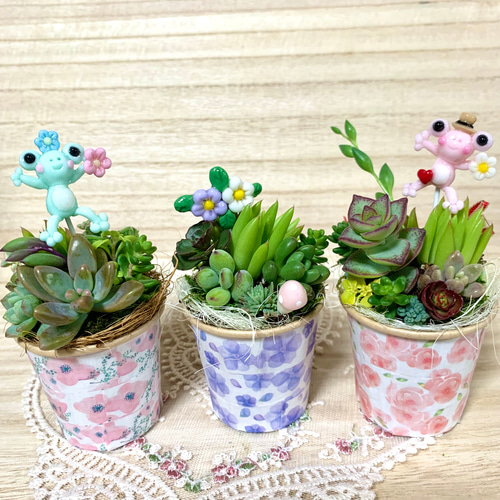 〜そのまま飾れる〜多肉植物寄せ植え(ハンドメイド)カエルピックフラワー/ガーデン