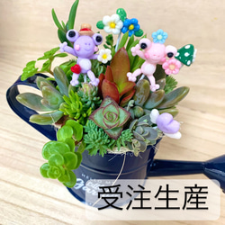そのまま飾れる〜多肉植物寄せ植え(ハンドメイド)カエルピック 多肉  