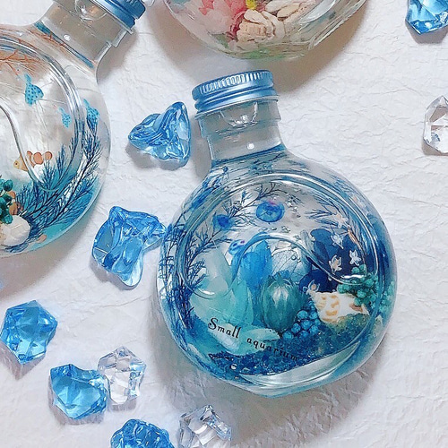 琉球*海のたね ゴアナクロー E ハーバリウム 潜り込ま