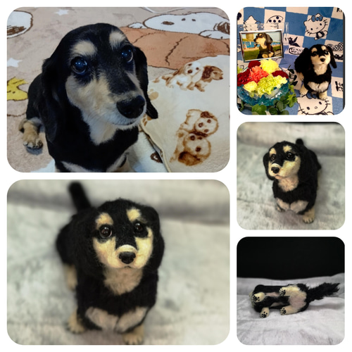 ☆愛犬オーダーメイドXL☆全身タイプ 等身大 羊毛フェルト うち