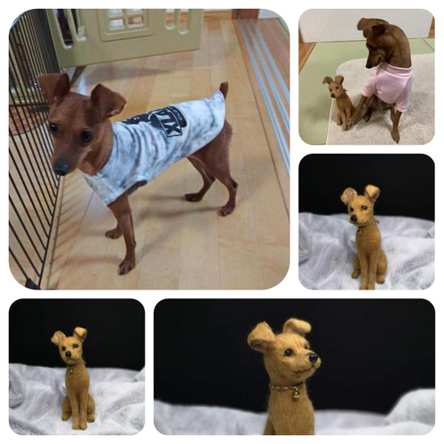 羊毛フェルト 愛犬全身オーダー ☆とも様オーダー☆ ☆愛犬オーダーメイドXL☆全身タイプ 等身大 羊毛フェルト うち