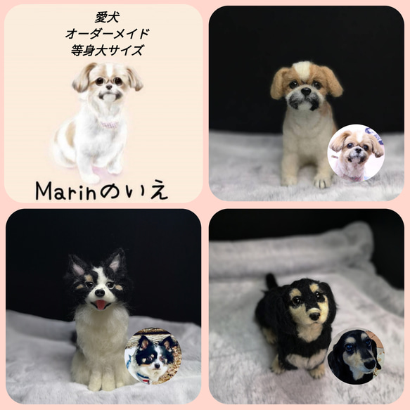 ☆愛犬オーダーメイドXL☆全身タイプ　等身大　羊毛フェルト　うちの子　ハンドメイド　メモリアル　いぬ　ペットロス　犬 1枚目の画像