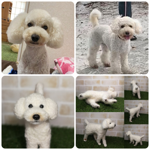 ☆愛犬オーダーメイドXL☆全身タイプ 等身大 羊毛フェルト うち