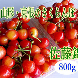 6月中旬～ 佐藤錦*東根のさくらんぼ 800g入り 果物（フルーツ） 細矢