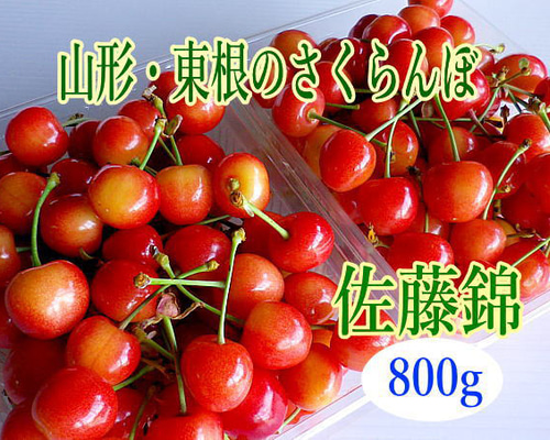 さくらんぼ 6月中旬～ 佐藤錦*東根のさくらんぼ 800g入り 果物（フルーツ） 細矢