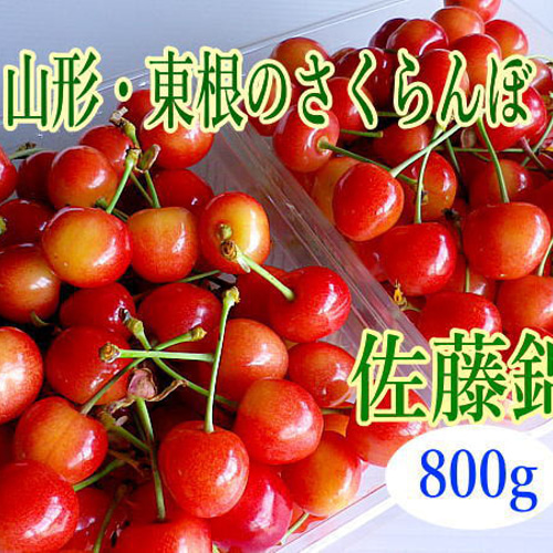 6月中旬～ 佐藤錦*東根のさくらんぼ 800g入り 果物（フルーツ） 細矢