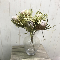 ドライフラワー バンクシア フーケリアーナ 5本 その他インテリア雑貨  