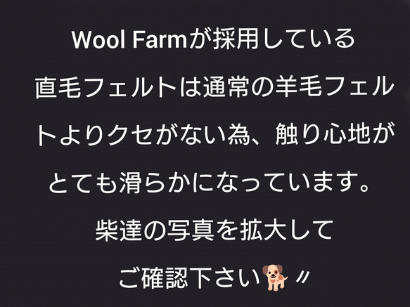 ちょこんとおすわり(ねこM)　～Wool Farm～　羊毛フェルト 8枚目の画像