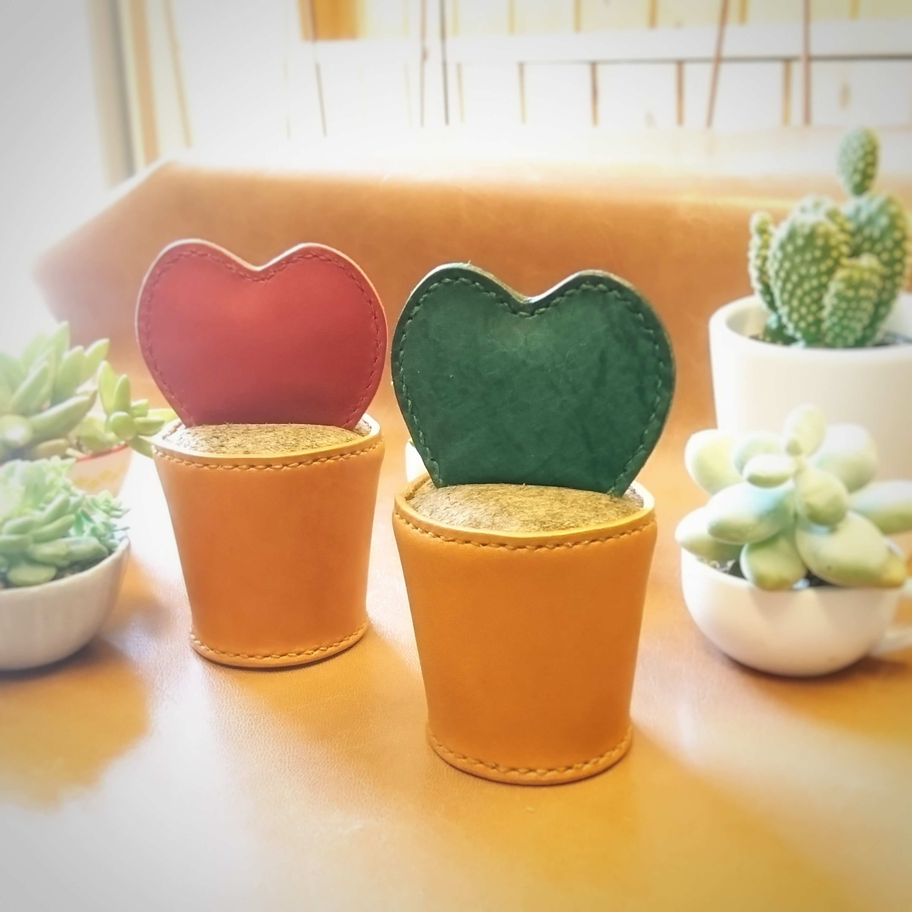 サボテンダー サボテンダー