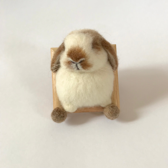 むぎゅっと身を乗り出してるうさぎさん〜 うさぎ 羊毛フェルト むぎゅっと身を乗り出してるうさぎさん〜 うさぎ 羊毛フェルト