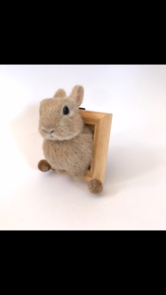 むぎゅっと身を乗り出してるうさぎさん〜 うさぎ 羊毛フェルト
