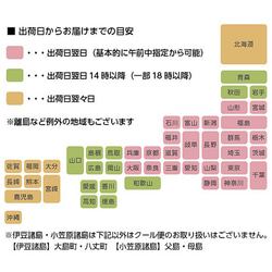  第9張的照片