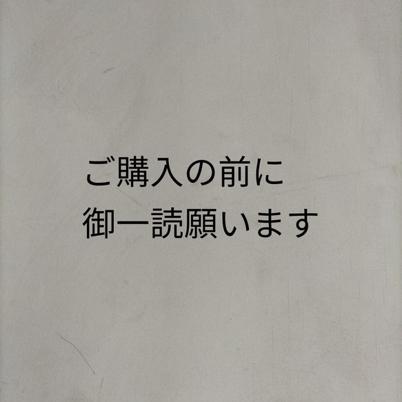 ご購入前に御一読願います。 1枚目の画像