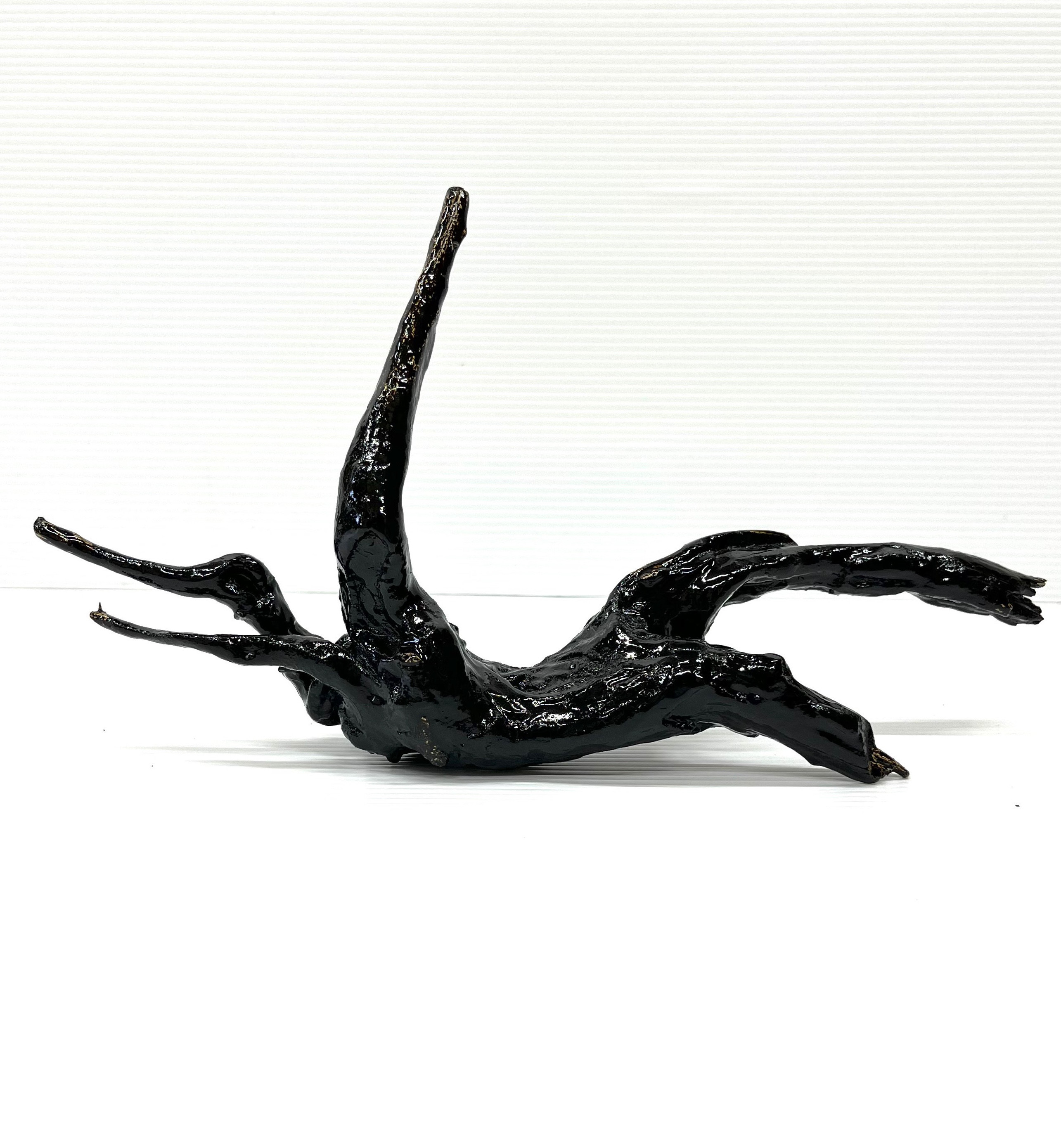 超お得！☆流星型☆流木漆塗り仕上げ 高級インテリア 骨董 置き物 飾り