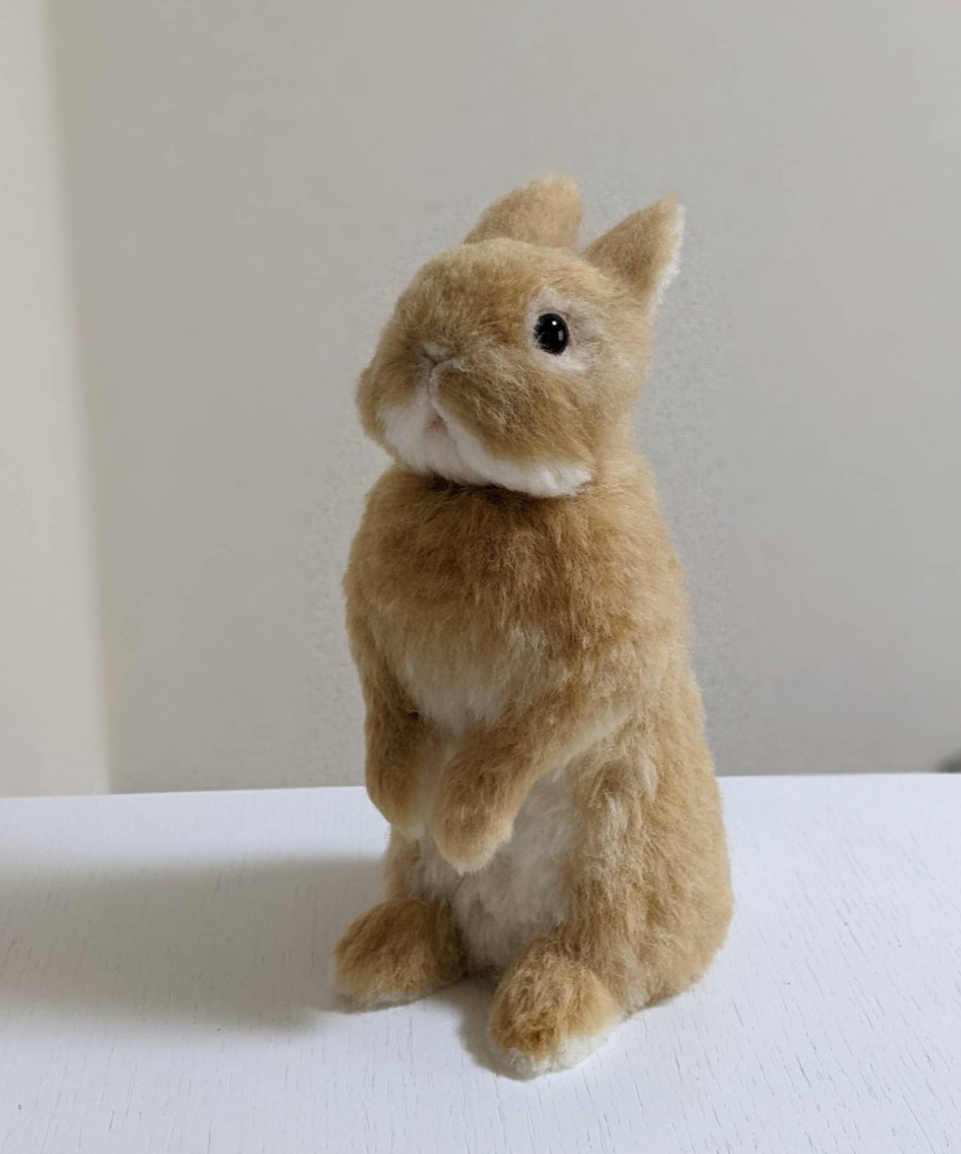 うさぎさん お知らせあり♪】うさぎさんを飼うときの準備と心構え、他