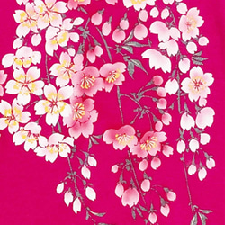 着物風　手染め京友禅Tシャツ　桜　ピンク 5枚目の画像