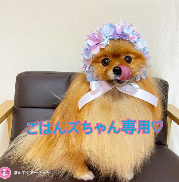 犬服♡ブーケキャップ 1枚目の画像