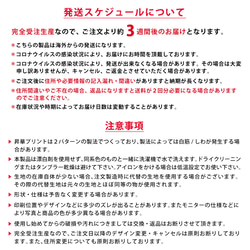 T卹,短袖,小姐,全印花,條紋長袖,可愛 第9張的照片