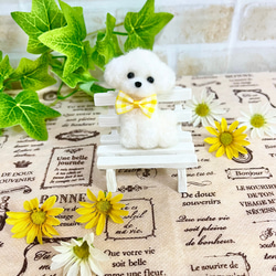 羊毛フェルト ひょっこりトイプードル♪ 羊毛フェルト ♡nachule18
