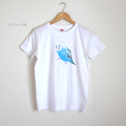 p-jet　セキセイインコ（ブルー）  Tシャツ　 / 鳥 インコ　青い鳥 2枚目の画像