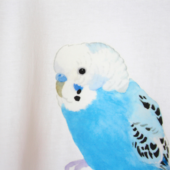 p-jet　セキセイインコ（ブルー）  Tシャツ　 / 鳥 インコ　青い鳥 3枚目の画像