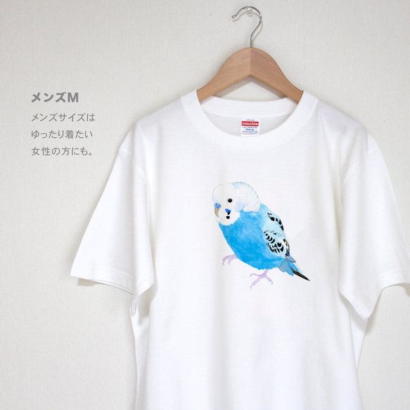 p-jet　セキセイインコ（ブルー）  Tシャツ　 / 鳥 インコ　青い鳥 5枚目の画像