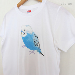 p-jet　セキセイインコ（ブルー）  Tシャツ　 / 鳥 インコ　青い鳥 4枚目の画像