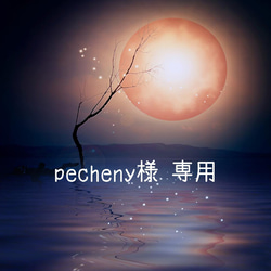 pecheny様専用〔受注生産〕夏向け コットンレース布マスク 立体子供用M 1枚目の画像