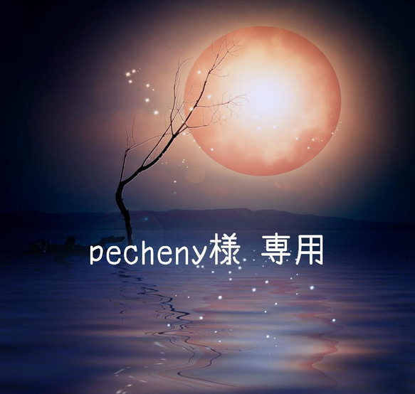 pecheny様専用〔受注生産〕夏向け コットンレース布マスク 立体子供用M 1枚目の画像