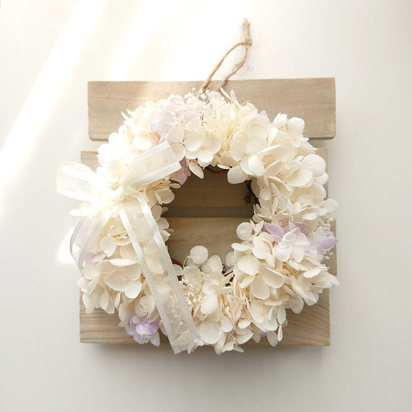 白い紫陽花ふわふわミニリース 1枚目の画像