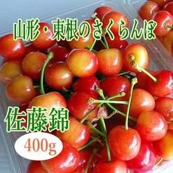 6月中旬～ 佐藤錦*東根のさくらんぼ 400g入り 果物（フルーツ） 細矢