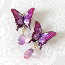 チェコビーズと羽ばたく蝶々♪】オオルリアゲハ(新色マゼンタ)。蝶々