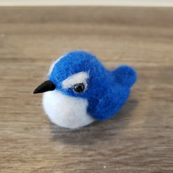 羊毛フェルト　置物　幸せの青い鳥　ルリビタキ　　　　　　　　f00052 9枚目の画像