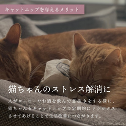 猫ちゃん　エビ天　(しましま/黄無地)けりぐるみキャットニップ入り 5枚目の画像