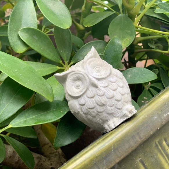 mor-owl　【モルタル　フクロウ　置物】 4枚目の画像