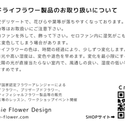 【期間限定】6月の旬のお花、スモークツリーとユーカリのフライングリース 8枚目の画像
