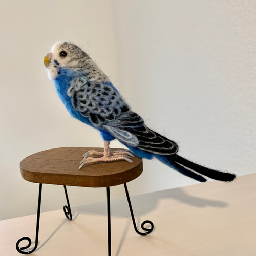 羊毛フェルト セキセイインコ 羊毛フェルト maron 通販 14084487