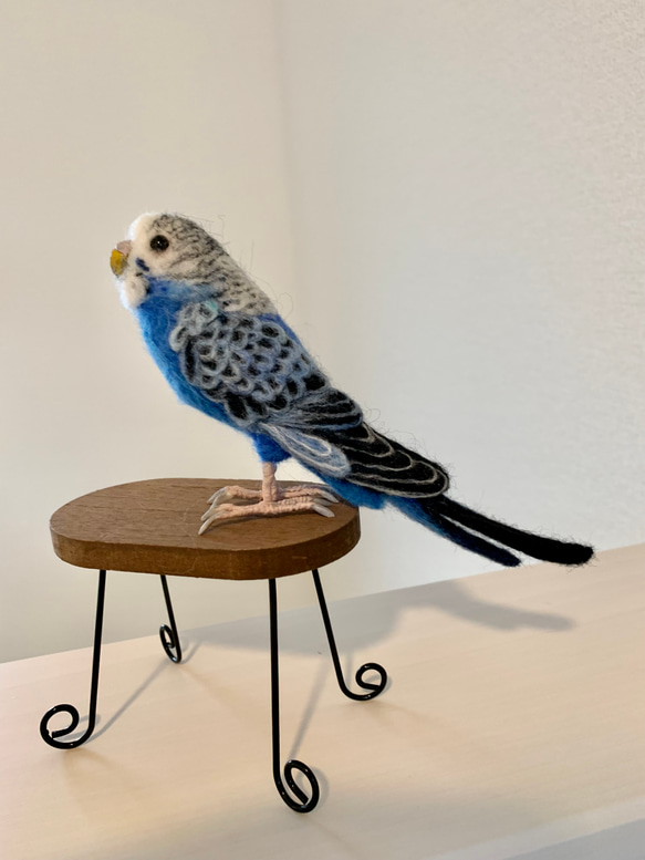 羊毛フェルト セキセイインコ 羊毛フェルト maron 通販 14084487