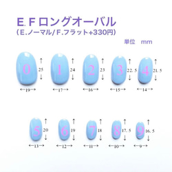 サイズ確認用チップ 4枚目の画像