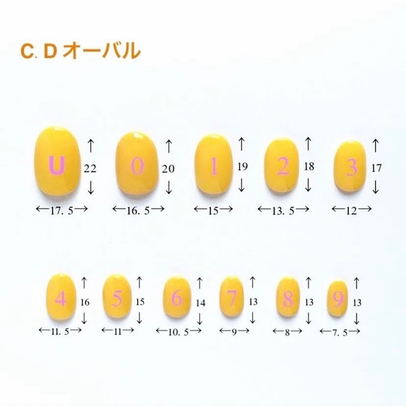 サイズ確認用チップ 3枚目の画像