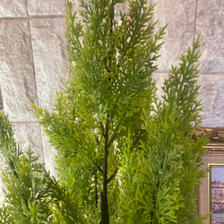光触媒　人工観葉植物　ウォールグリーン　フェイク　フラワー　ゴールドクレスト7 4枚目の画像