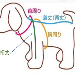 犬服 【新作】浴衣ドレス ミントグリーンレース模様　二段フリル　重ねリボン帯　送料無料　ydm01 8枚目の画像