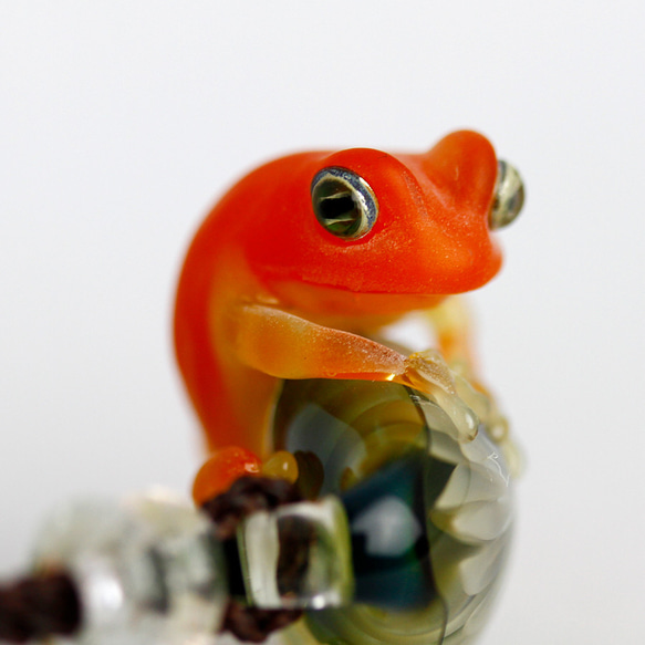Frog（カエル）ファナネックレス395 4枚目の画像
