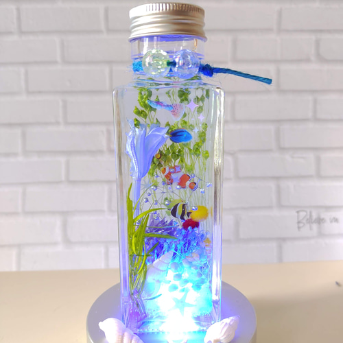 大)海☆熱帯魚☆水族館☆ハーバリウム ハーバリウム・植物標本 花 