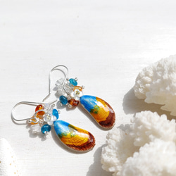 ❁Sunset shell earrings silver925❁ヴィンテージのシェル 6枚目の画像