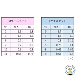 フット用 Lサイズセット　形状記憶ネイルチップFlexyクリアチップ 3枚目の画像