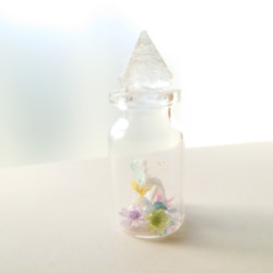 ＊小瓶の中のお花畑 妖精＊魔法の小瓶 ～ 蝶の羽 4枚目の画像
