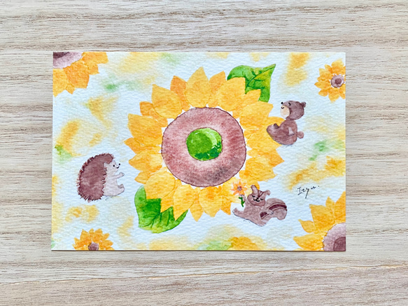 透明水彩画「ひまわり遊び」ポストカード3枚セット イラスト ヒマワリ
