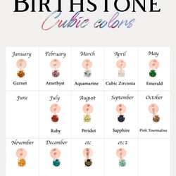 14K金 ゴールド 誕生石 Cz ヘリックス 軟骨 アンチトラガス インナーコンク イヤリング ピアス ラブレット 16枚目の画像